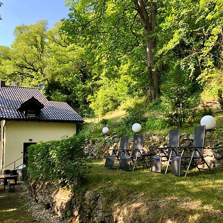 Chalet An Der Donau Direkt Bei Regensburg, 5 Sterne Dtv Pentling Luaran gambar